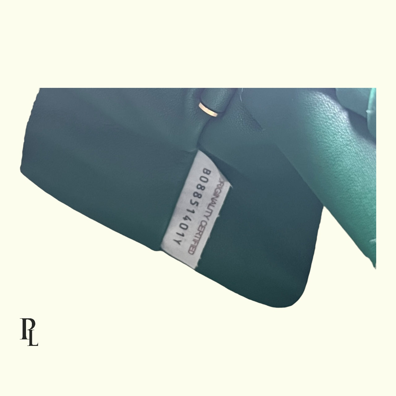 Bottega Veneta Pouch Chain Bag Green